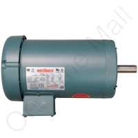 124885-008 Trion Motor